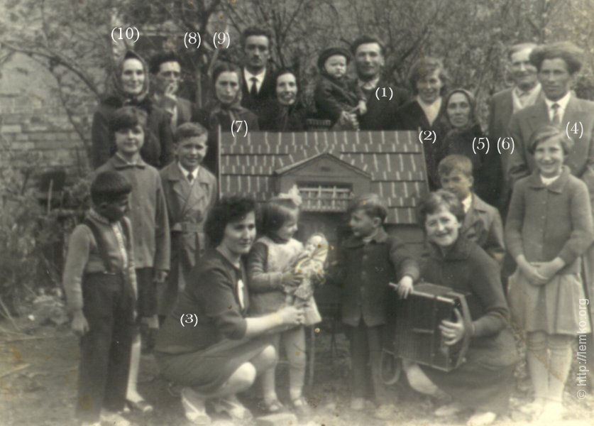 Photograph